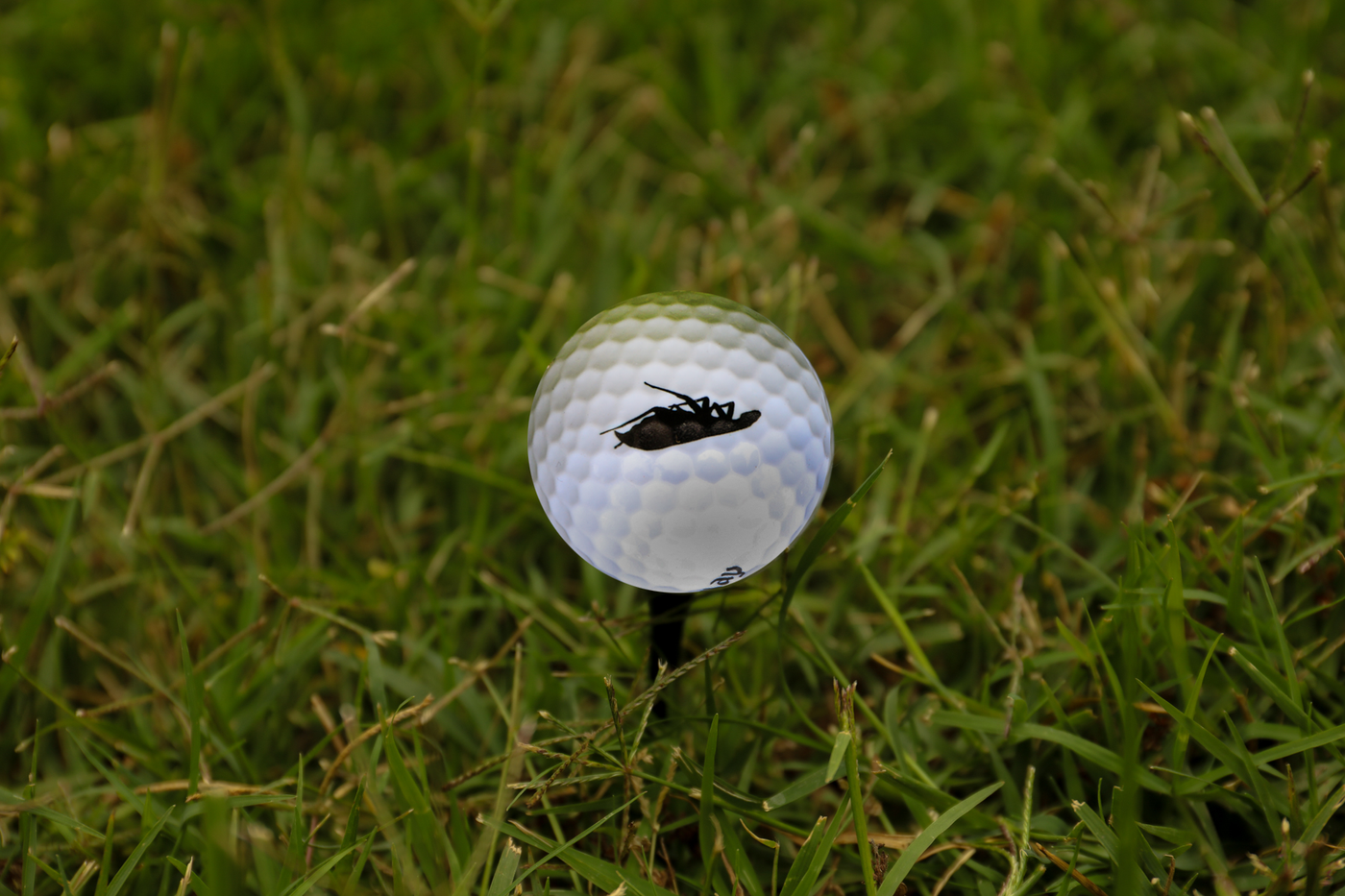 Golf Ball Set
