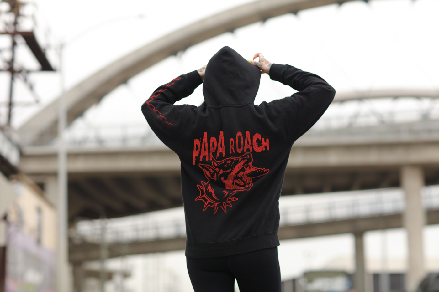 Papa Roach Owner + Dog Hoodie Bundle